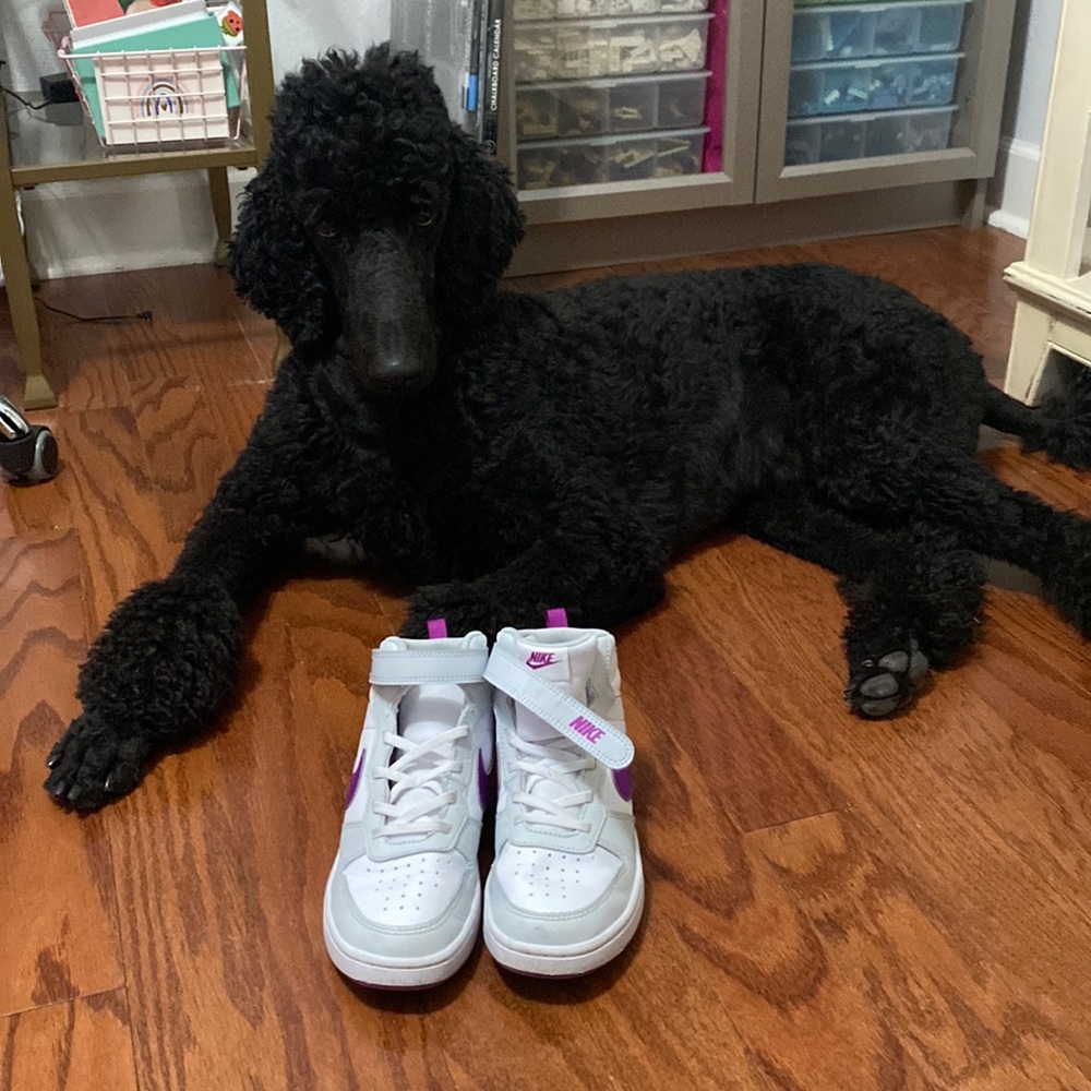 Girls Nike high top sneakers size 3Y